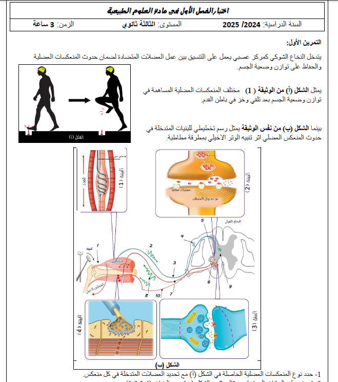 اختبار الفصل الاول في العلوم الطبيعية للسنة 3 ع ت1731959004.pdf